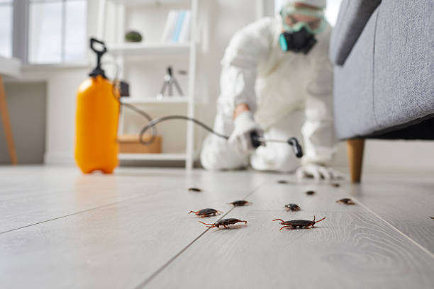Commercial Kitchen Cockroach Control in South Sumter